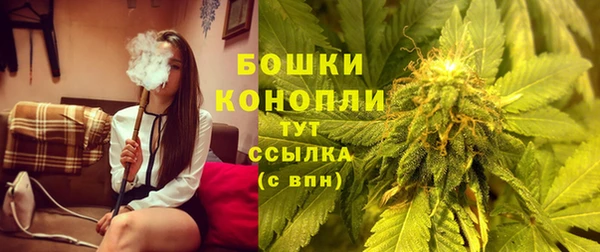 молекула духа Вязьма